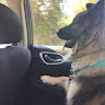 Автор