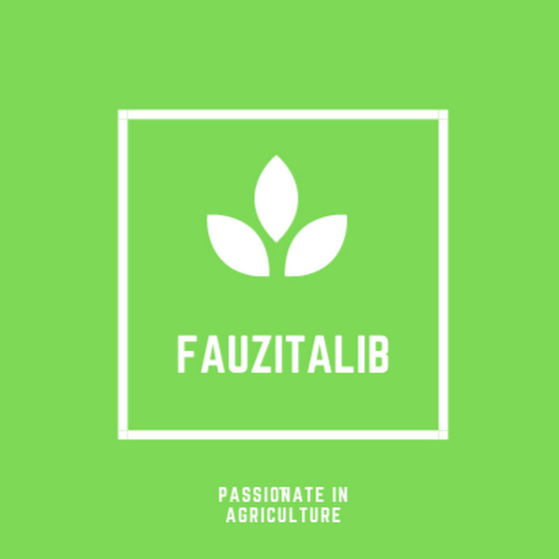 FauziTalib