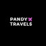 xZhNWC81eXk-channel-avatar-Pandy Travels