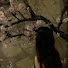 ZBneHg-hWvs-channel-avatar-ҽιɾα