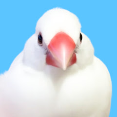 たいち