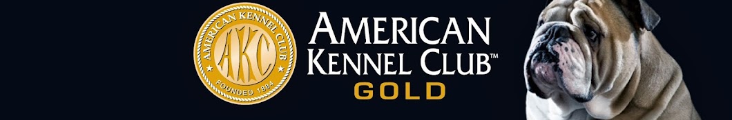 AKC Gold رمز قناة اليوتيوب