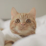 miときなこさんと、暮らし