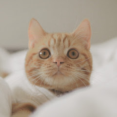 miときなこさんと、暮らし