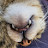 @Matthew-wj8cm Avatar