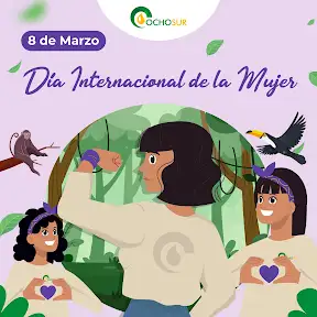 Grupo Ocho Sur YouTube channel