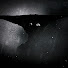 XoNEcX8njtE-channel-avatar-Bx.