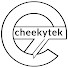 iiiS2x4AtJE-channel-avatar-cheekytek