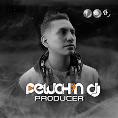 djpeluchin producer