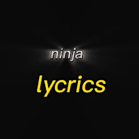 NİNJA641 profile image