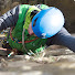 ocKNpoYtjmM-channel-avatar-Adventure Sport Resources