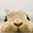 @wintersoftwinter's avatar
