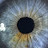 @kadenfilms4524 Avatar