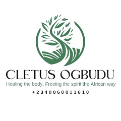 Cletus Ogbudu net worth