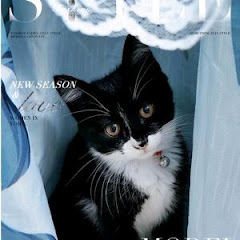 貓團子手工藝アイコン画像