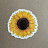 @Sunflower-i3s