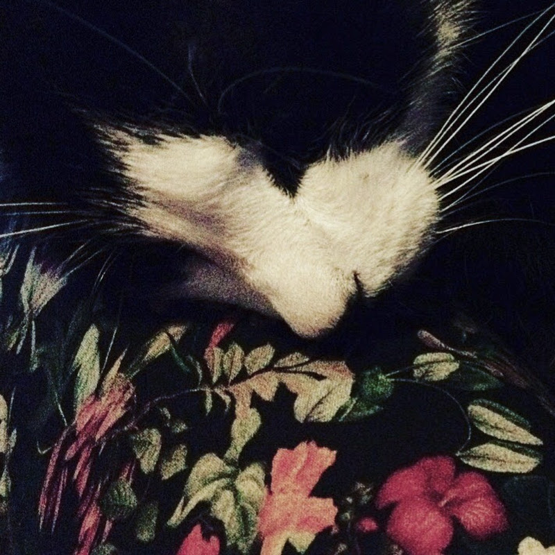 Florence Renault-Darsi