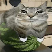 MilannIUTU
