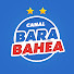 lbmFLgqTMzM-channel-avatar-Bara Bahêa