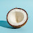 @coconut-e8p