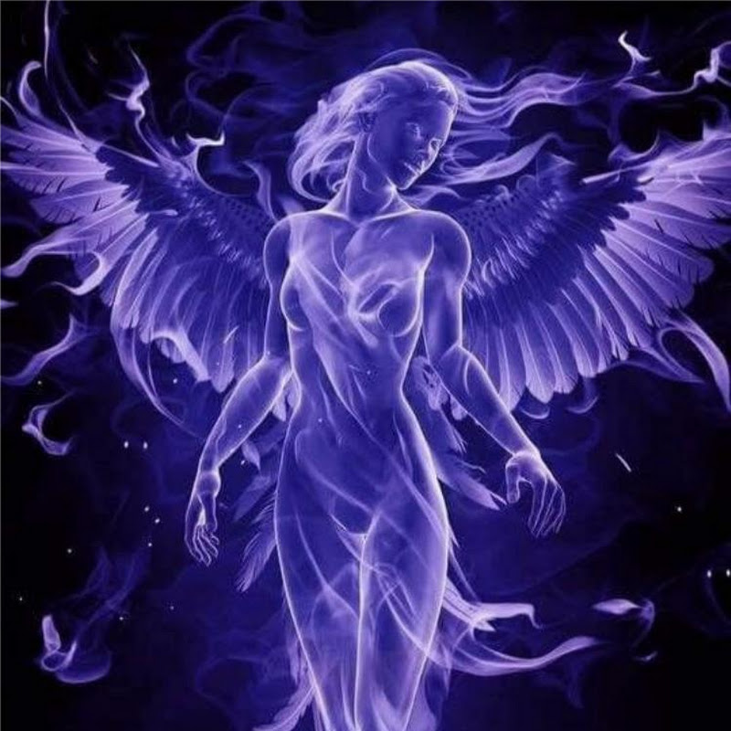PURPLE-PHOENIX