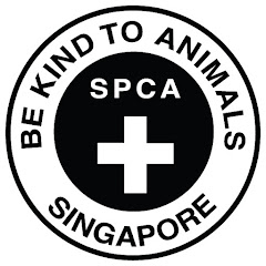 SPCA Singapore