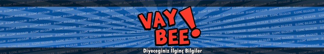 VAY BEE YouTube channel avatar