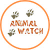 What could Animal Watch buy with $1.11 million?