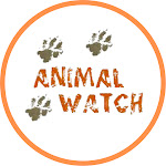 Animal Watch Net Worth