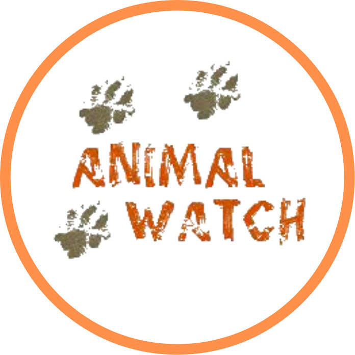 Animal Watch Net Worth & Earnings (2022)