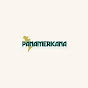 Panamericana SG logo