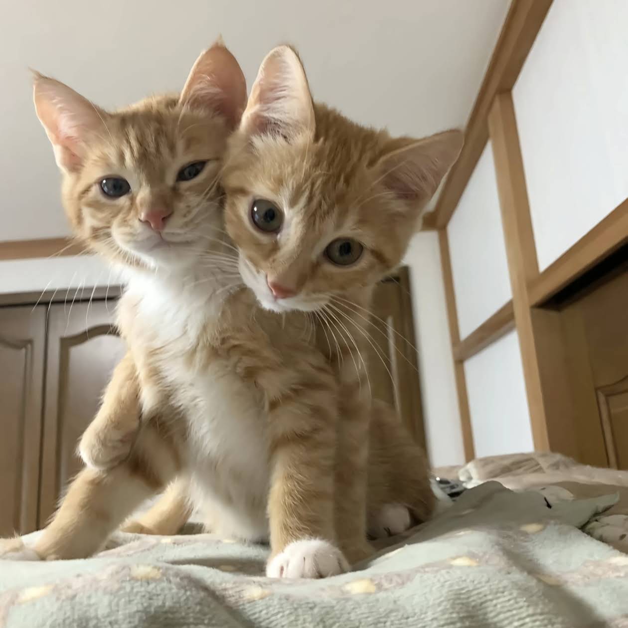 Post from Catherine Ren