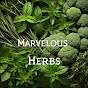 Marvelous Herbs logo