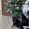 Автор