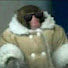 xOp3bZzxDOY-channel-avatar-Cool Bonobo
