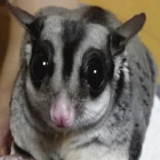 モモンズの小部屋