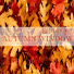 UX3oPnrdRfE-channel-avatar-Autumn Window