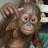 @monkey_274