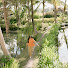 GYg_umiAp_s-channel-avatar-Mitha Jalan Jalan