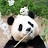 @younghyekim994