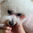 @인간과인간