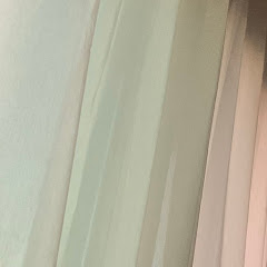 솔_Iamssori? net worth