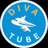 bSnC3PtFLxU-channel-avatar-DIVA TUBE