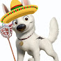 boltz Avatar