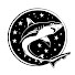 vISkKRoDrEA-channel-avatar-TheStarryAngler