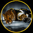 9D8bUrkiTzg-channel-avatar-Missão Possível-R14