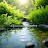 @Aquascape_dreams Avatar