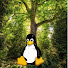 JpRShqUCNC4-channel-avatar-TreeOnLinux