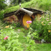 Daren Starnes