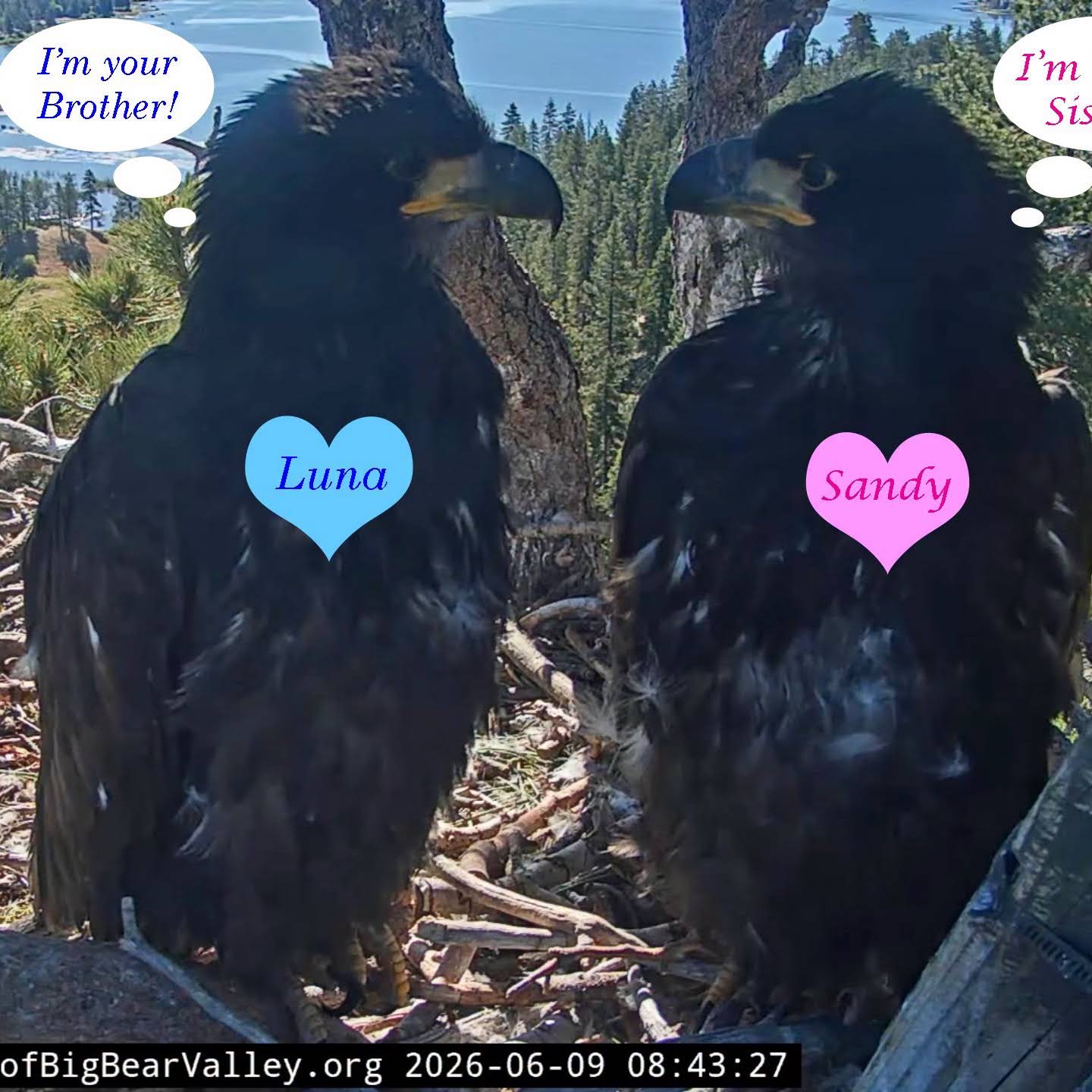 Post from FOBBV CAM